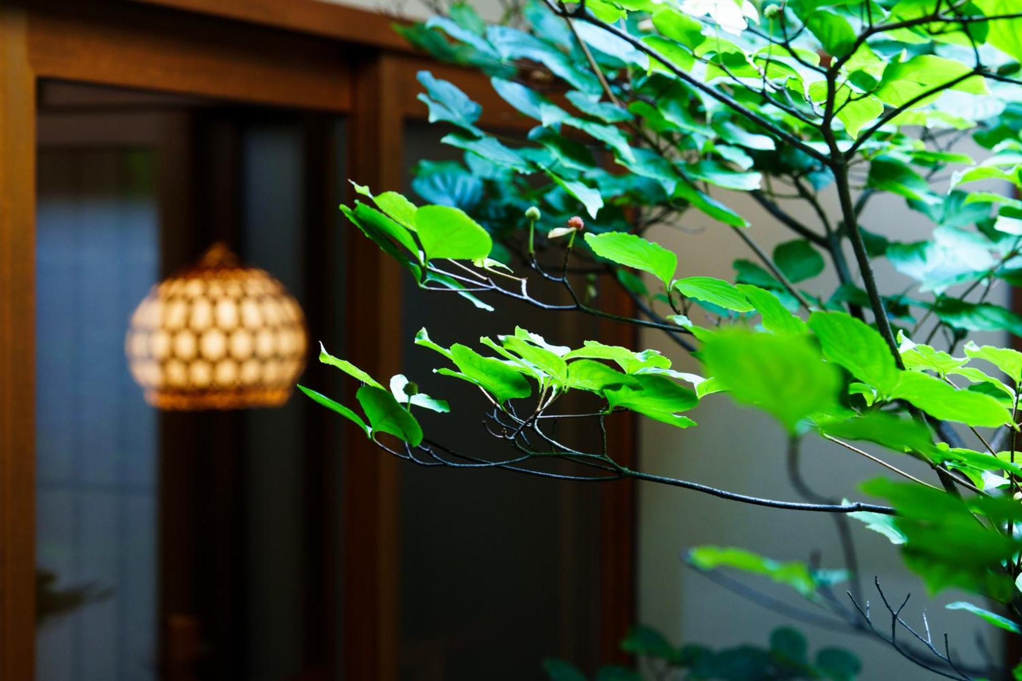 Hotori Villa Kyoto Eksteriør billede